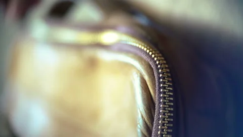 Leather Bag Zipper Stock Footage 221648197