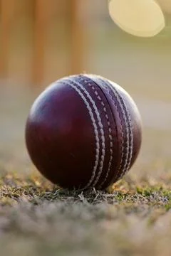 Leather ball with white stitching resting on dry grass at cricket field, under Stock Photos