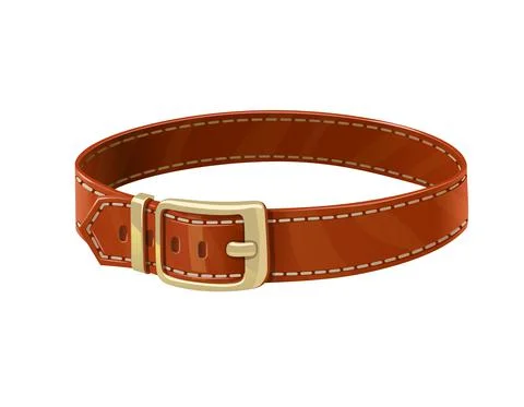 Leather belt. Clothes accessory. Vector illustration. Stock Illustration