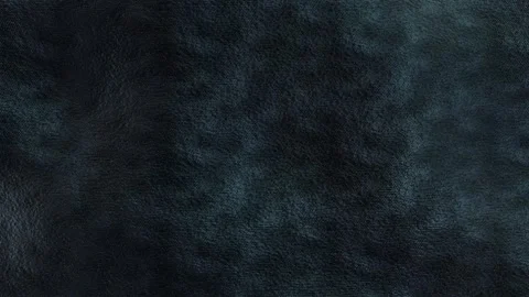 Leather Black Texture Loop, Seamless Motion Background Stock Footage 255197420