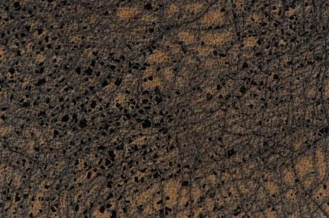 Leather brown Foto stock