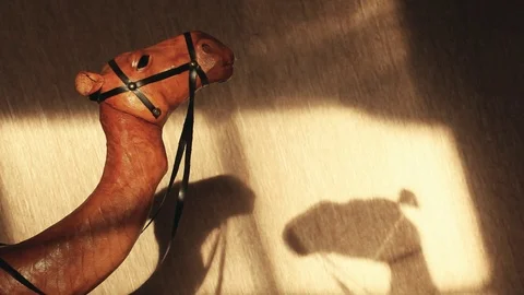 Leather camel statue shadow hd footage Stock Footage 104296050