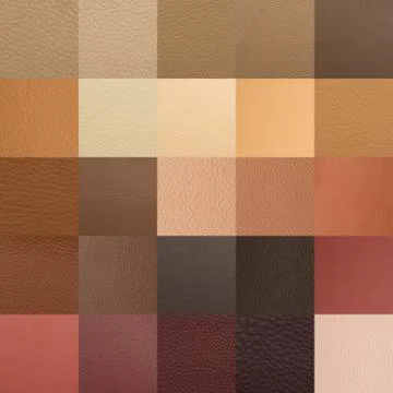 Leather chart with many color samples Stock Illustration
