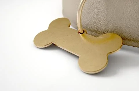 Leather Collar With Tag Stock Illustration