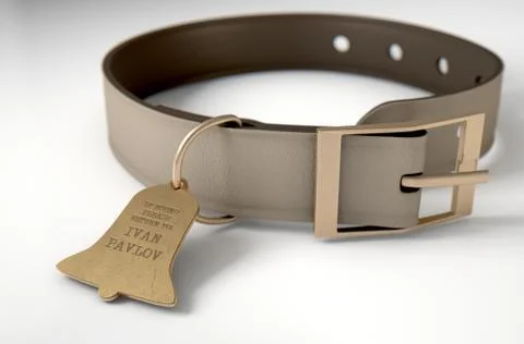 Leather Collar With Tag Stock Illustration