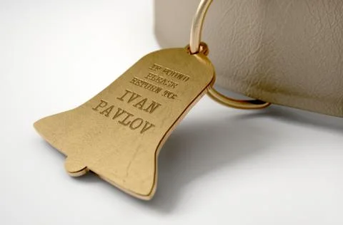 Leather Collar With Tag Stock Illustration