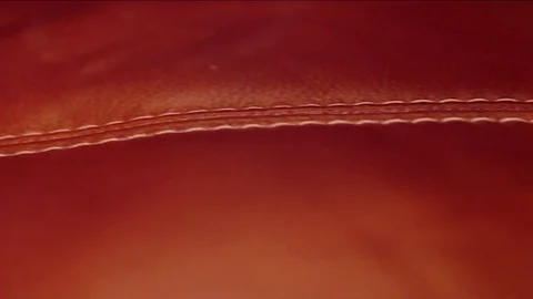 Leather couch Stock Footage 77051136