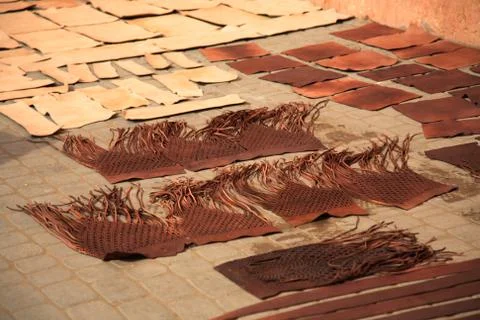 Leather drying Foto stock