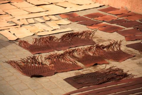 Leather drying Stock Photos