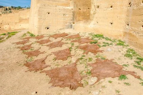 Leather drying in the sun Stock Photos