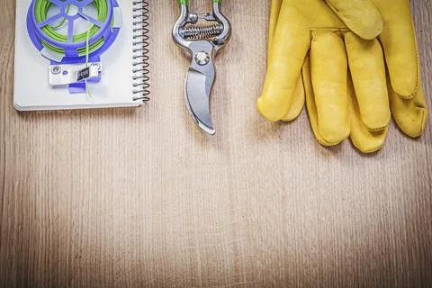 Leather gloves sharp secateurs soft twist tie checked copybook on wood board Foto stock