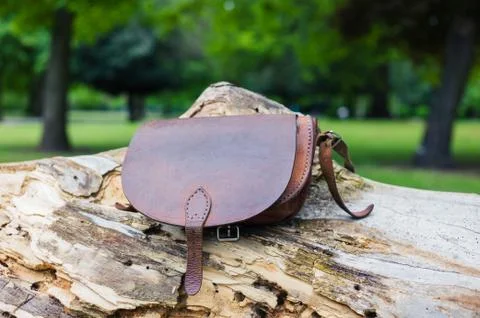 Leather handbag on tree trunk Stock Photos