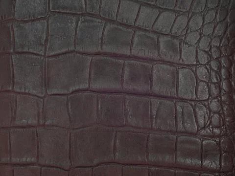 Leather hide Stock Photos