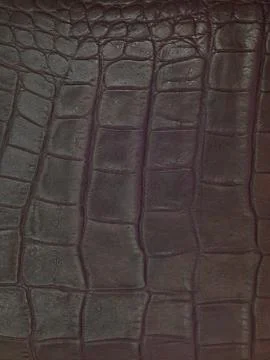 Leather hide Stock Photos