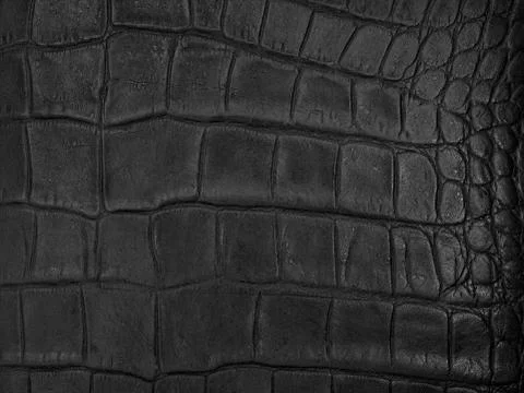 Leather hide Stock Photos