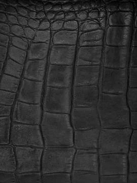 Leather hide Stock Photos