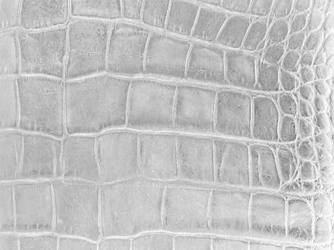 Leather hide Stock Photos