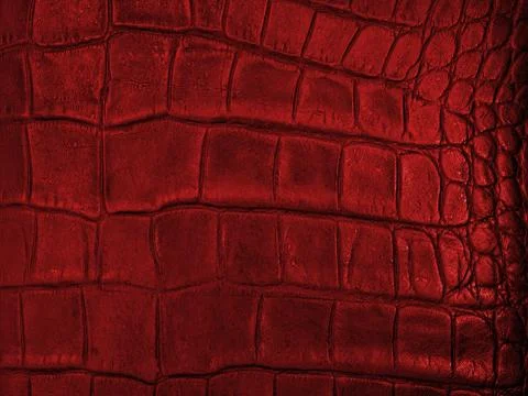 Leather hide Stock Photos