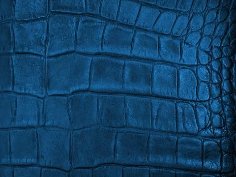 Leather hide Stock Photos