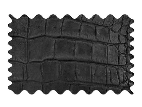 Leather hide Stock Photos