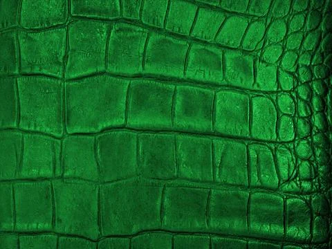 Leather hide Stock Photos