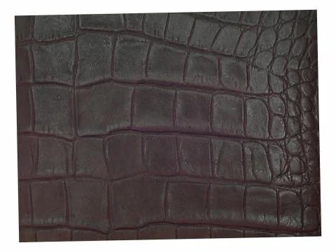 Leather hide Stock Photos