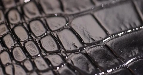 Leather imitating crocodile leather for making objects, black polished leather Stock Footage 311676358