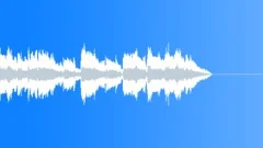 Leather Jackets (15 sec) Stock Music