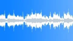 Leather Jackets (Loop 2) Stock Music