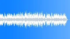 Leather Jackets Stock Music