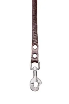Leather leash Stock Photos