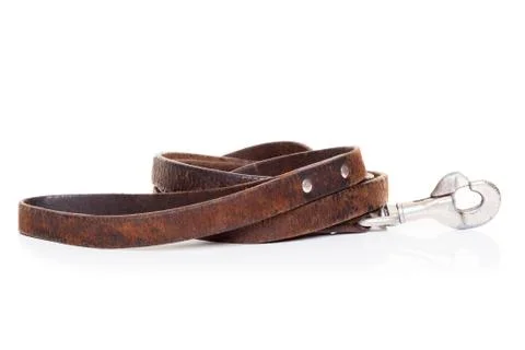 Leather leash Stock Photos