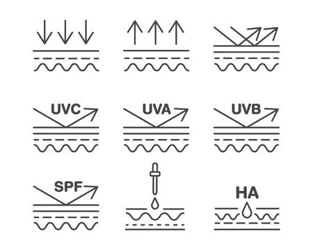 Leather linear vector graphic icon. Collagen, beauty, skin care, hydration... Stock Illustration