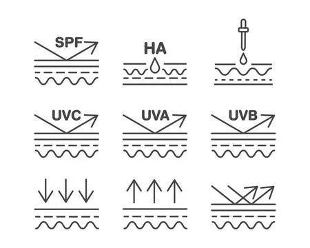 Leather linear vector graphic icon. Collagen, beauty, skin care, hydration... Stock Illustration
