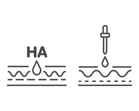 Leather linear vector graphic icon. Collagen, beauty, skin care, hydration... Stock Illustration