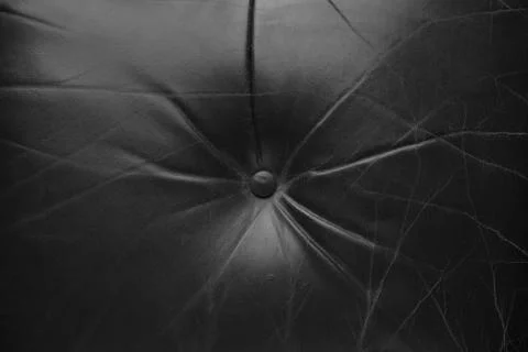 Leather luxury background Stock Photos