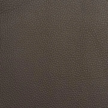 Leather macro shot Stock Photos
