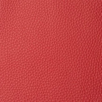 Leather macro shot Stock Photos