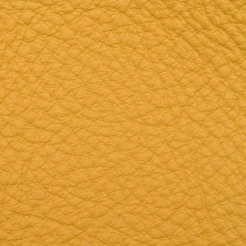 Leather macro shot 스톡 사진