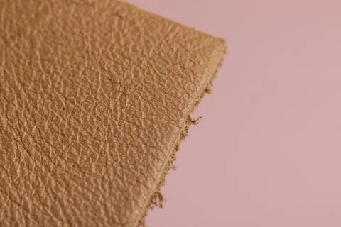 Leather material, close up macro shot where you can see the pores of the genuine 写真素材