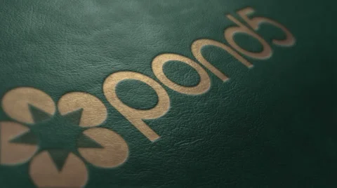 Leather Mockup Logo Stock After Effects