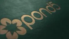 Leather Mockup Logo Stock After Effects