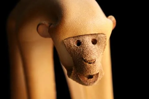 Leather monkey face Stock Photos