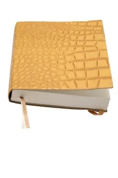 Leather notebook isolated on white Stock Photos