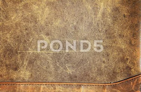 Leather Stock Photos