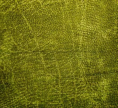 Leather Stock Photos