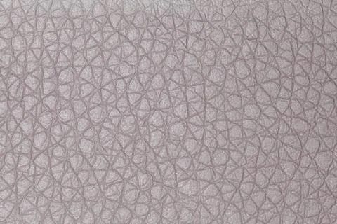 Leather Stock Photos