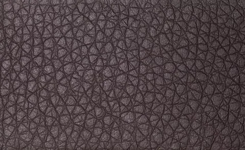 Leather Stock Photos