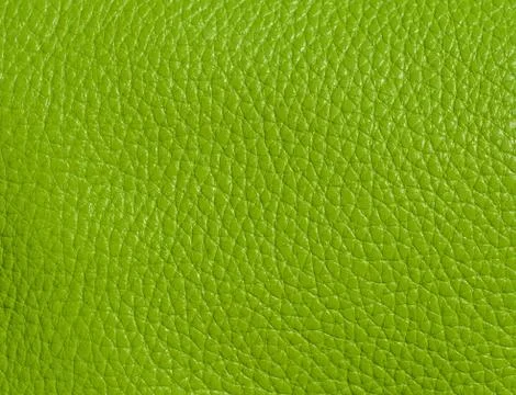 Leather Stock Photos