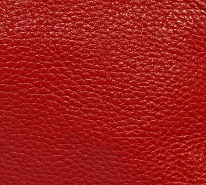 Leather Stock Photos